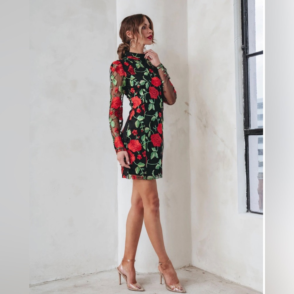 VICI Embroidered Dress